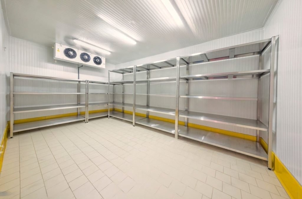 Organization Made Easy: A Look into the Versatility of Storage Racks