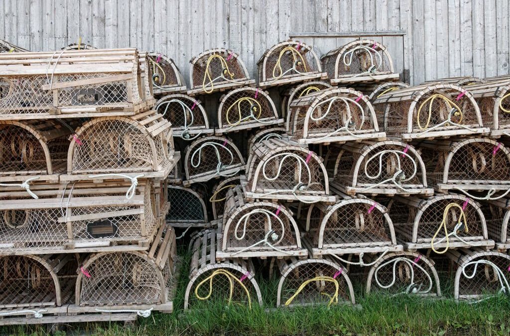 Organizing on a Budget: Dollar Tree Wire Baskets for Home Storage