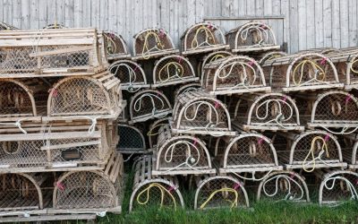 Organizing on a Budget: Dollar Tree Wire Baskets for Home Storage