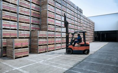 Heavy-Duty Pallet Racks: Ensuring Safe and Efficient Warehouse Storage