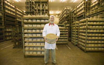 Adrian Steel Shelves: Revolutionizing Industrial Storage Solutions
